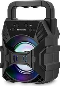 Беспроводная колонка SOUNDMAX SM-PS5027B (черный)