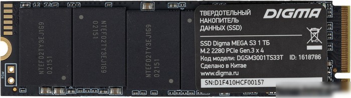 Digma Mega S3 1TB DGSM3001TS33T