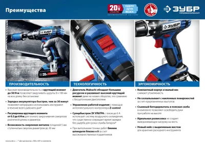 Дрель-шуруповерт Зубр Профессионал DL-201-22 (с 2-мя АКБ 2 Ач, кейс)