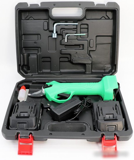 ZITREK GreenNer 20 (20В, 1,5Ач Li-ion аккум. 2шт., зу, кейс) 082-1855