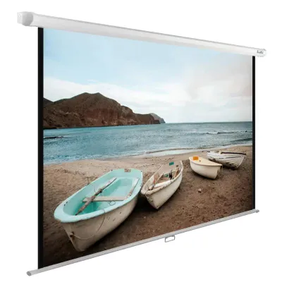 Проекционный экран CACTUS WallExpert 220x138 CS-PSWE-220x138-WT