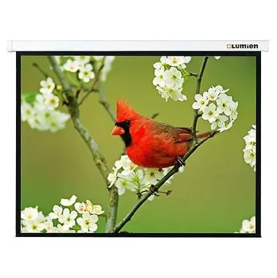 Lumien Master Picture 128x171 (LMP-100108)