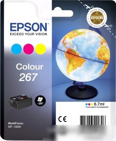 Epson C13T26704010