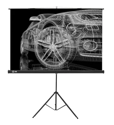Проекционный экран CACTUS Triscreen CS-PST-124x221
