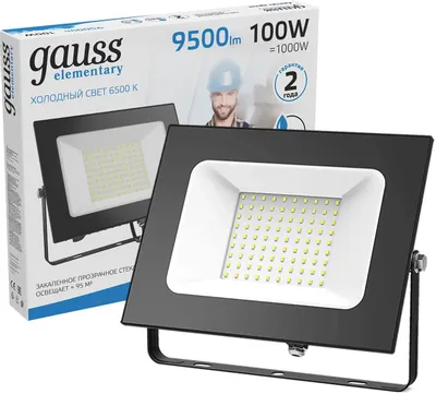 Gauss LED 100W IP65 6500K 613100100 (черный)