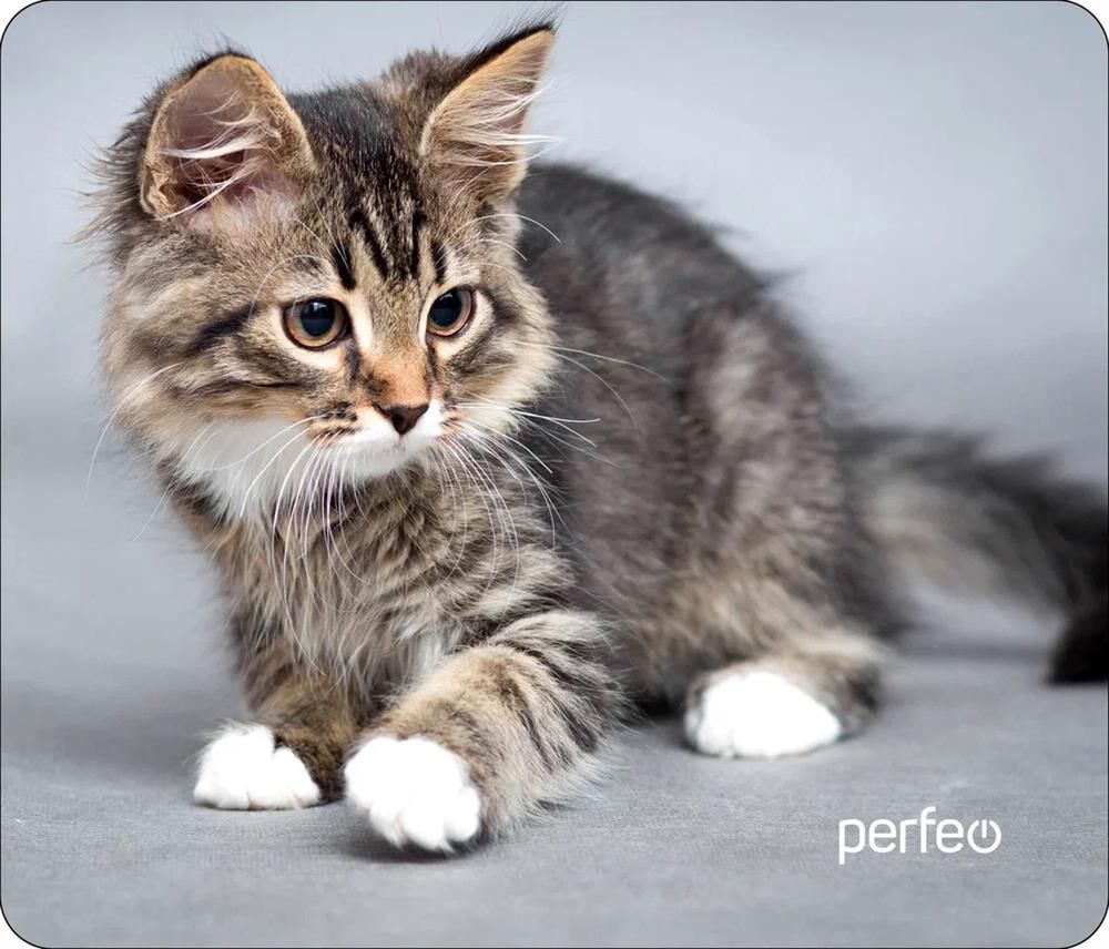 Коврик для мыши PERFEO (PF_D0661) "Cat"