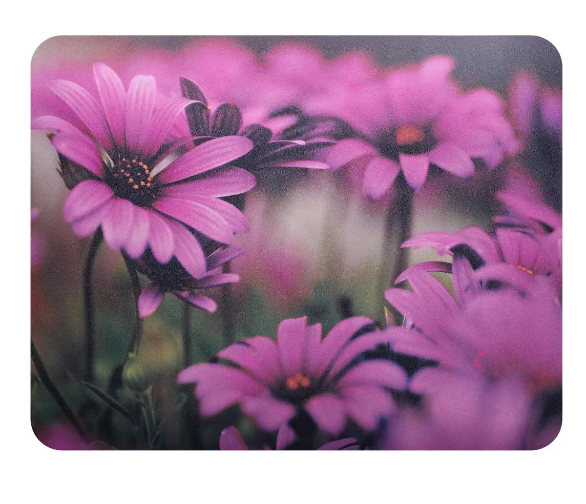 Коврик для мыши Buro BU-M20045