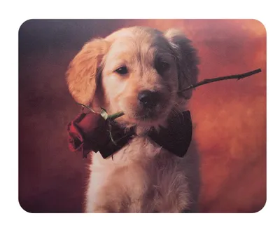 Коврик для мыши Buro BU-M40089