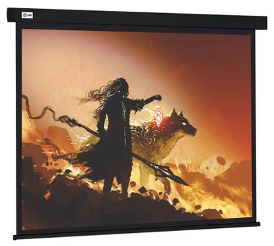 CACTUS Wallscreen CS-PSW-149x265