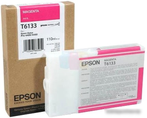Epson C13T613300