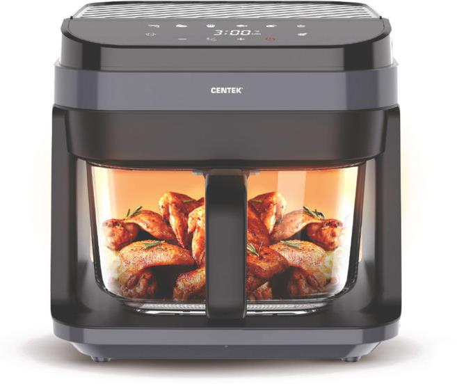 CENTEK CENTEK CT-3101