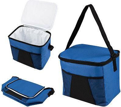 ECOS Термосумка PC2201, 14л., р-р: 28x20x25см, цвет: синий 104568