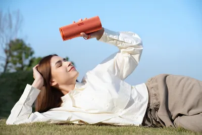 HONOR Choice Portable Bluetooth Speaker Pro (черный)