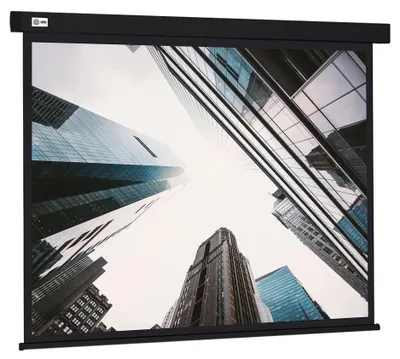 Проекционный экран CACTUS Wallscreen CS-PSW-124x221