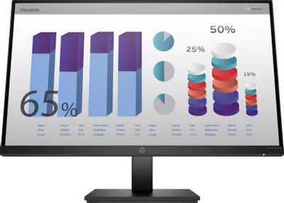 HP P24q G4