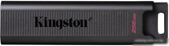 Kingston DataTraveler Max 256GB