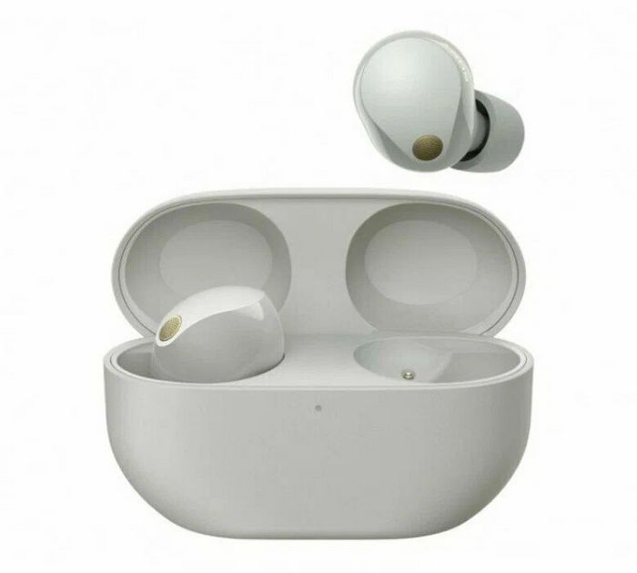 Sony WF-1000XM5 (серебристый)