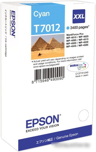 Картридж Epson C13T70124010