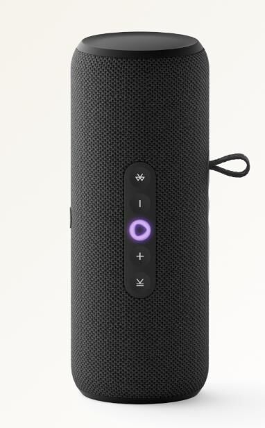 ЯНДЕКС Станция Стрит с Алисой, модель YNDX-00030BLK (черный)