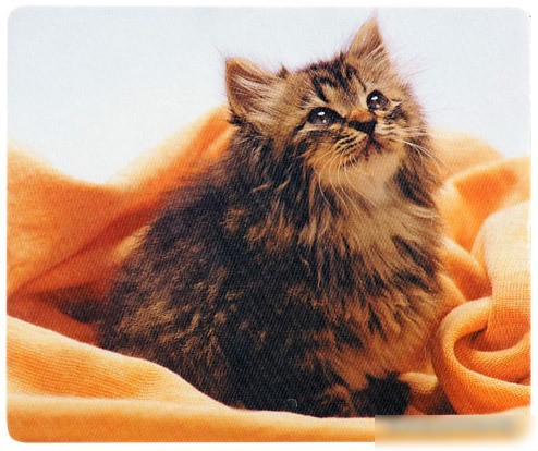 Defender Silk (50706)