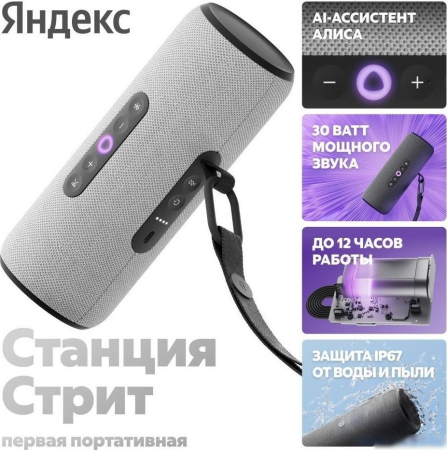 Яндекс Станция Стрит (серый)
