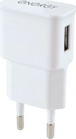 Сетевое зарядное Energy ET-09 (белый)