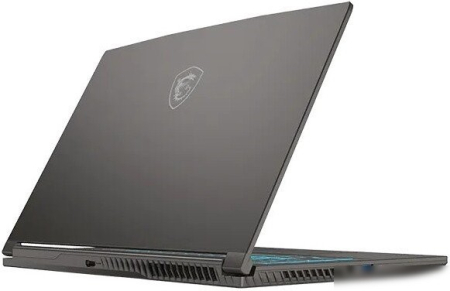 MSI 15.6" Thin 15 B2RVE-3451XRU Core 7 240H/16Gb/512Gb SSD/RTX 4050-6Gb/No OS/Grey (9S7-16R831-3451)