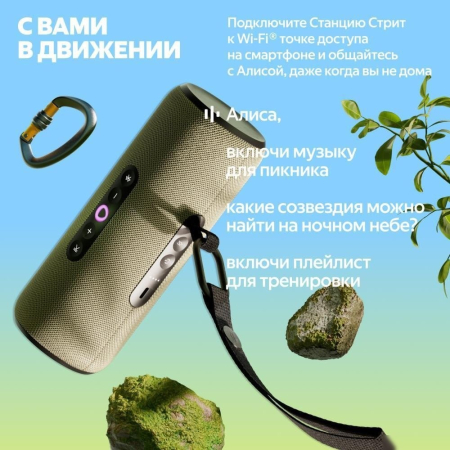 Яндекс Станция Стрит (серый)