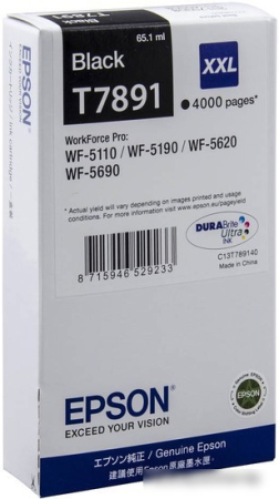 Картридж Epson C13T789140