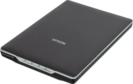 Epson Perfection V19