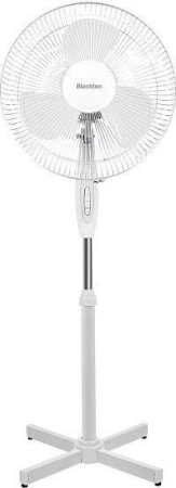 BLACKTON Bt F1115 White