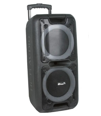 Колонка для вечеринок Eltronic 20-14 Dance Box 300