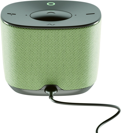 Умная колонка Sber SberBoom Home (фисташковый)