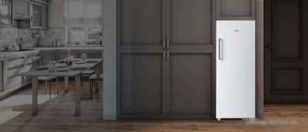 HAIER HF260WG