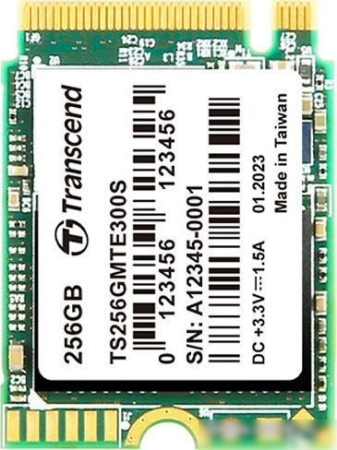 SSD Transcend 300S 256GB TS256GMTE300S