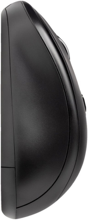 SMARTBUY SBM290AGK черный