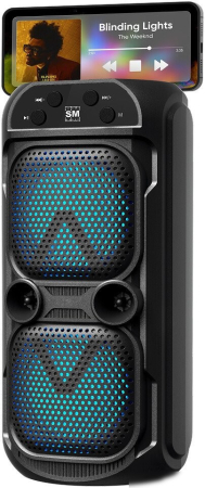 SOUNDMAX Портативное аудио SM-PS5039B(чёрный)
