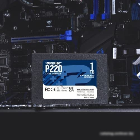 Patriot P220 1TB P220S1TB25