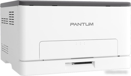 Pantum CP1100
