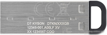USB Flash Kingston Kyson 256GB