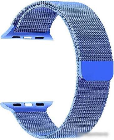 Ремешок Lyambda Capella для Apple Watch 38-40 мм (синий)