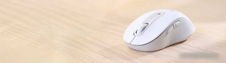 Мышь Logitech Signature M650 L (белый)
