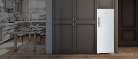 HAIER HF260WG