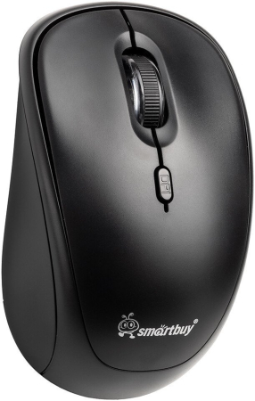 SMARTBUY SBM290AGK черный